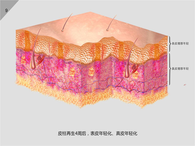 k8凯发(中国游)官方网站-APP下载