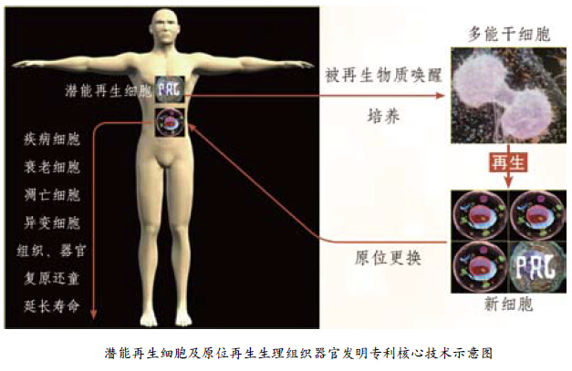 k8凯发(中国游)官方网站-APP下载