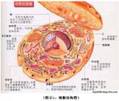 k8凯发(中国游)官方网站-APP下载